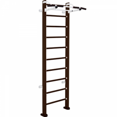 Детский спортивный комплекс ДСК Карусель Dolf (пристеночный)