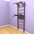 Шведская стенка "LittleSport" Pull-Up 2.0 (черный*красный)