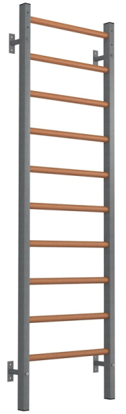 Шведская стенка EffectSport комбинированная Гибрид ( антик-серебро )