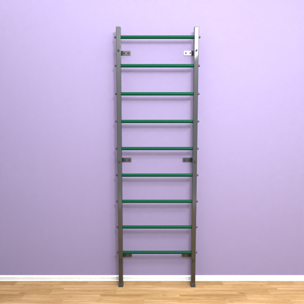 картинка Шведская стенка "LittleSport" (черный*зеленый) от магазина Лазалка