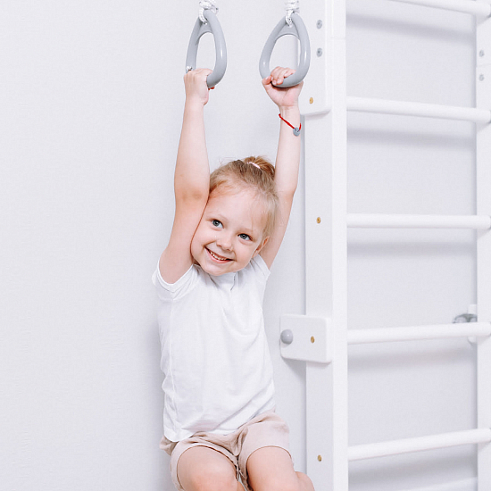 картинка Комплекс «Шведская стенка деревянная ROMANA Eco 2.1» от магазина Лазалка